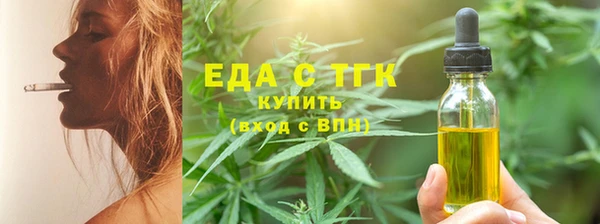 индика Надым