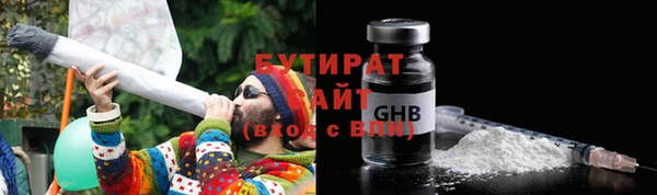 индика Надым
