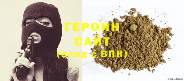 индика Надым