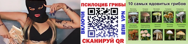 Галлюциногенные грибы мухоморы  ссылка на мегу онион  Дивногорск  купить наркотики цена 
